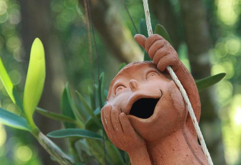 Hostel Chestnut Hill Eco Resort