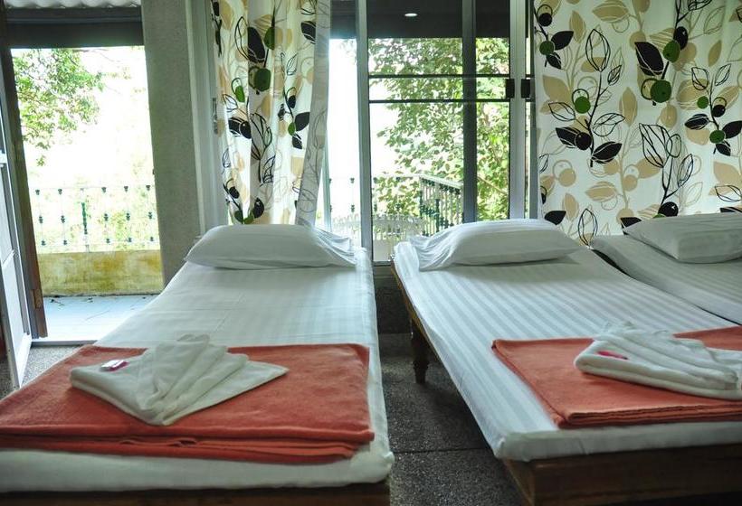 Hostel Chestnut Hill Eco Resort 11