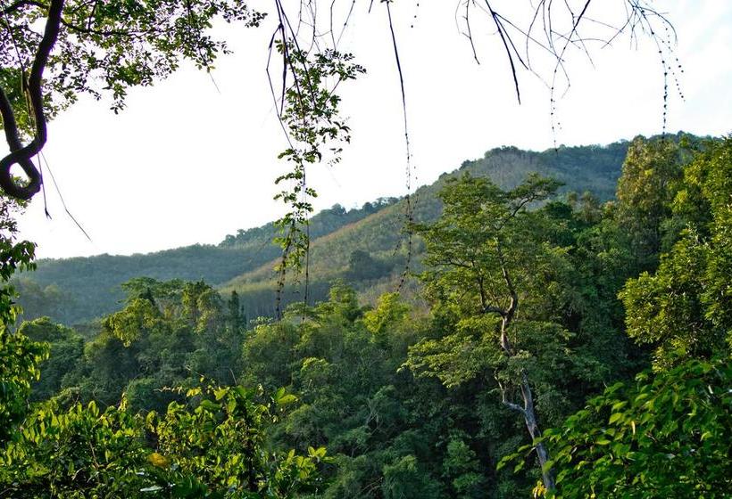 Hostel Chestnut Hill Eco Resort 13