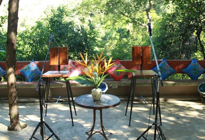 Hostel Chestnut Hill Eco Resort 4