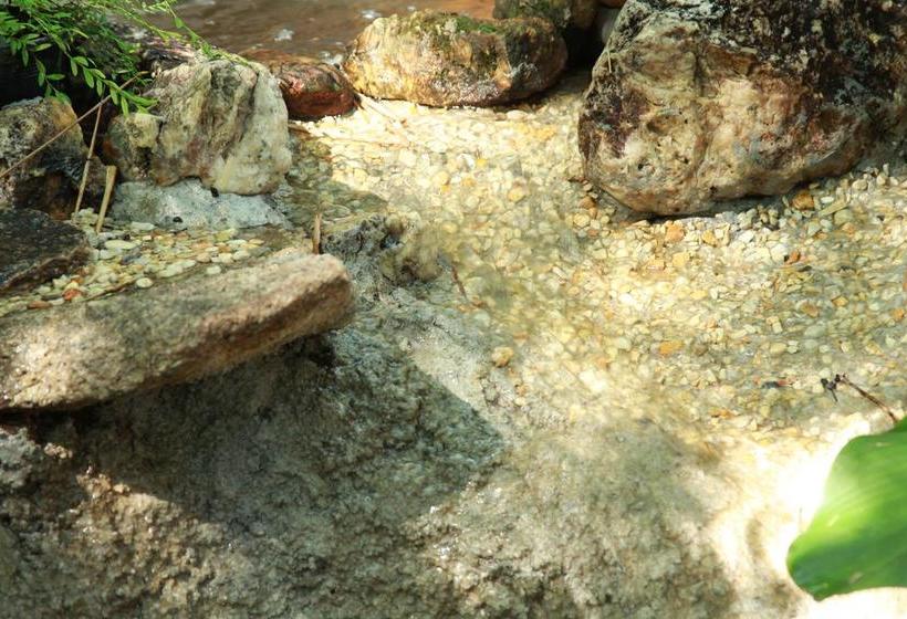 Hostel Chestnut Hill Eco Resort 5