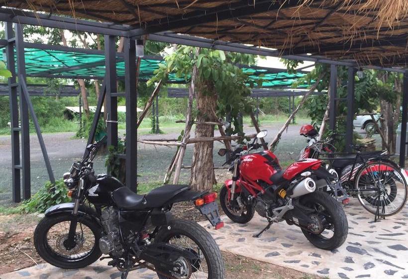 Hotel Lemon Resort 6