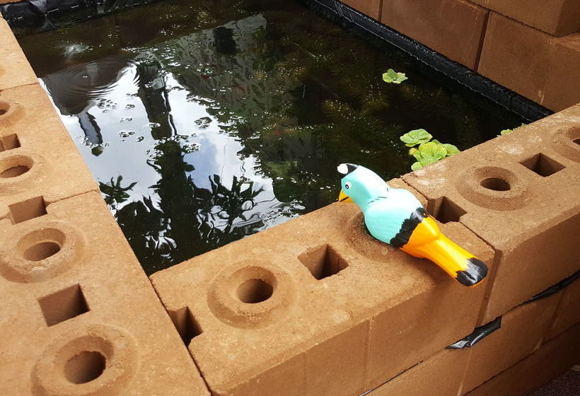 Pension Emmanuel Guesthouse 20