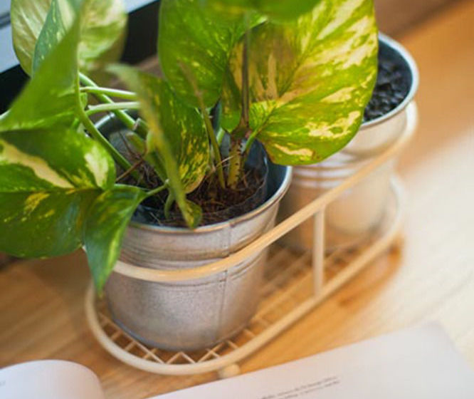 Hotel Pixel Hostel Phuket Airport 19