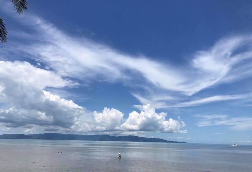 Hotel Hansa Beach Resort 19