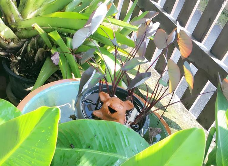 Bed and Breakfast The House Boutique Hostel 12