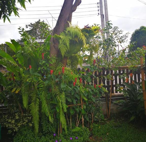 Bed and Breakfast The House Boutique Hostel 3