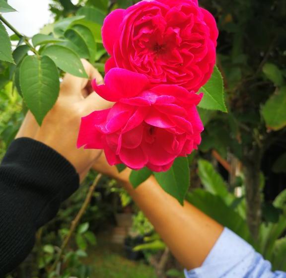 Bed and Breakfast The House Boutique Hostel 5