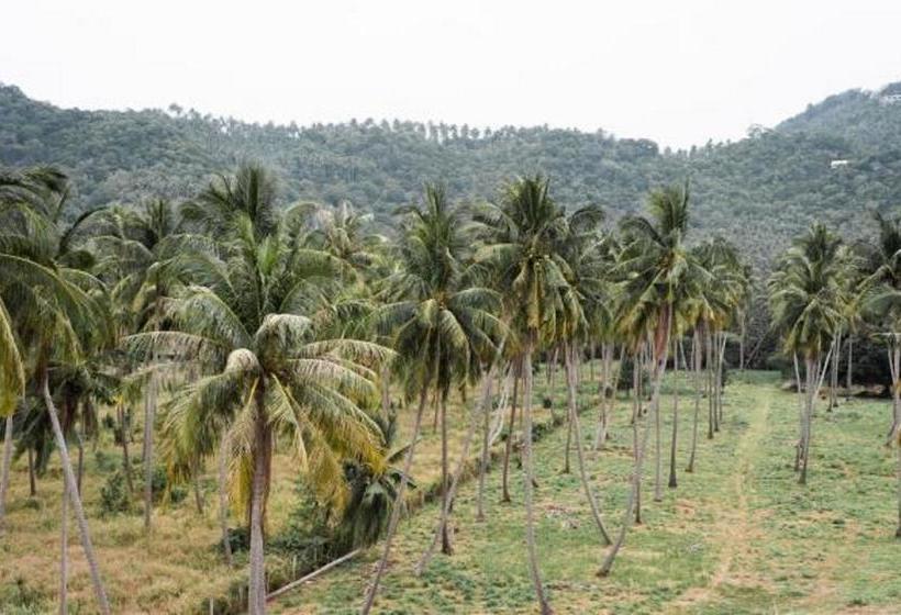 Hotel Pranee Amata 10