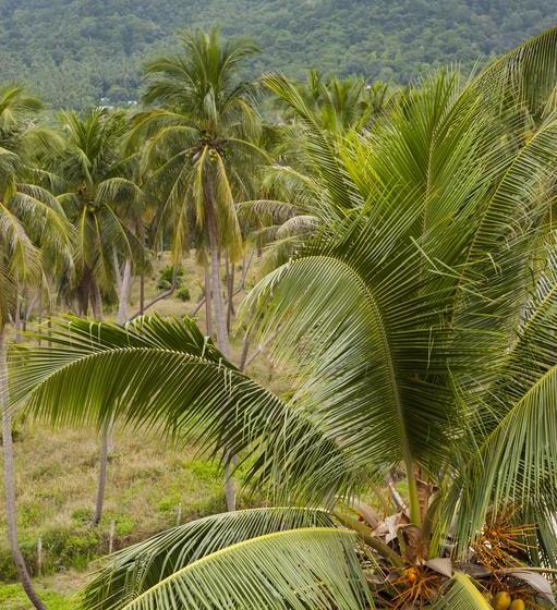 Hotel Pranee Amata 20