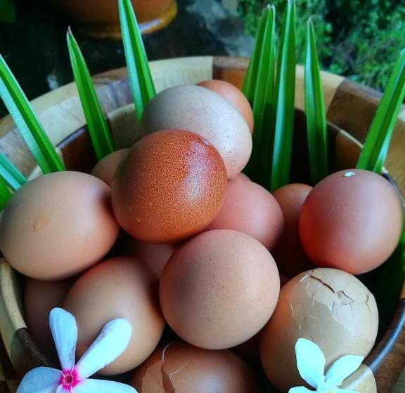 Bed and Breakfast Lampang Lanna Home 12