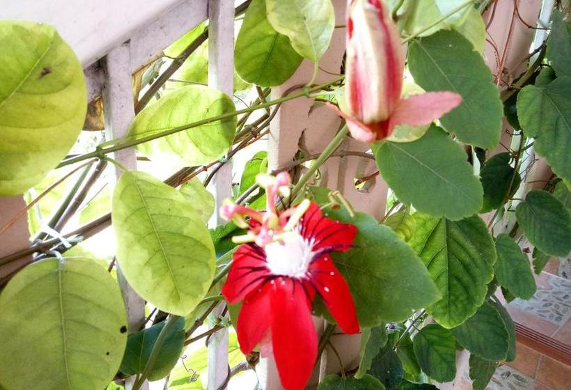 Bed and Breakfast Lampang Lanna Home 18