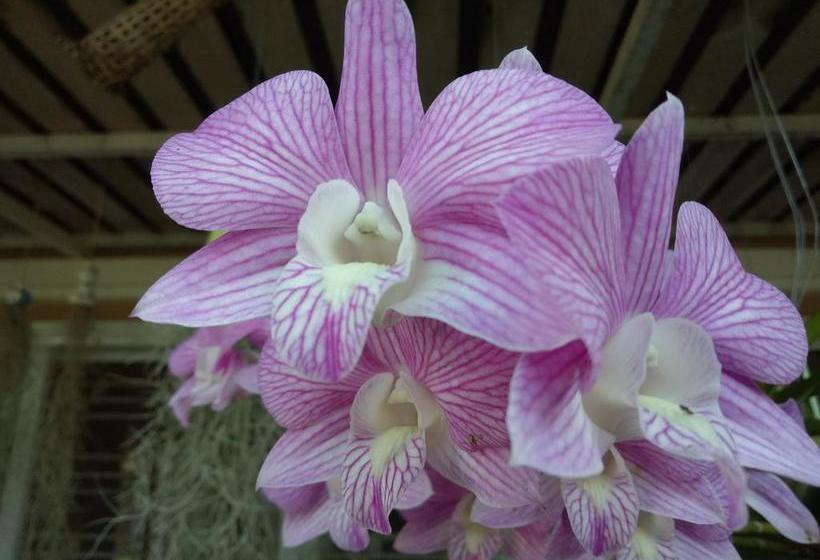 Bed and Breakfast Lampang Lanna Home 19