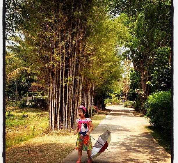 Hotel Bangchak Phuphan Resort 13