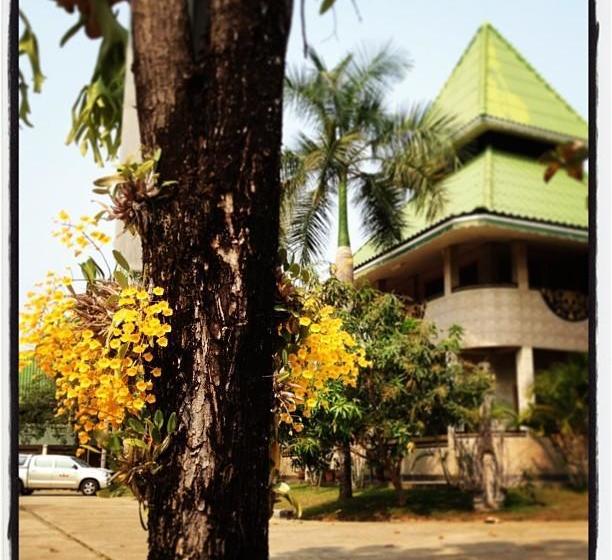 Hotel Bangchak Phuphan Resort 15