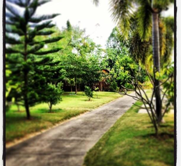 Hotel Bangchak Phuphan Resort 8