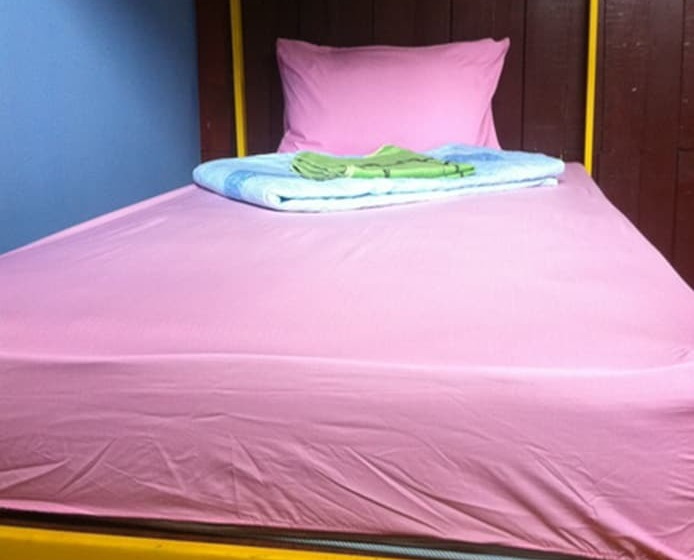 Hostel Elephant Retirement Park 3