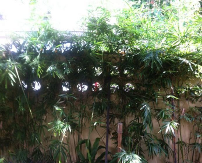 Hostel Elephant Retirement Park 7