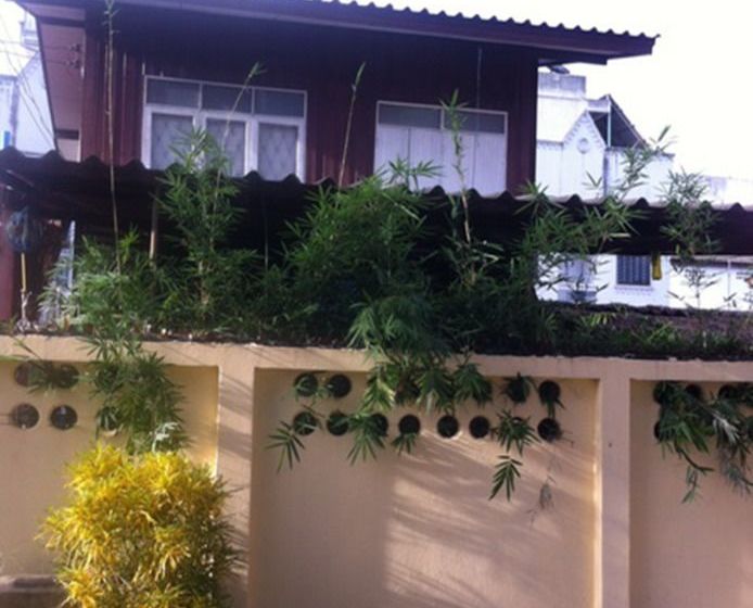 Hostel Elephant Retirement Park 8