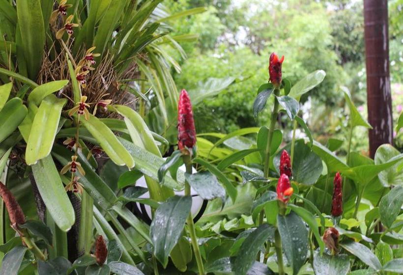 White Elephant Resort 15