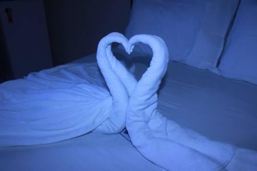 Hotel Rey  | Camacari | Bahia | Brasil 2