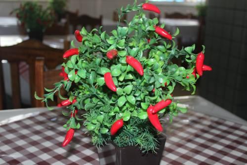 Hotel Rey  | Camacari | Bahia | Brasil 5