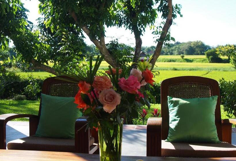 Bed and Breakfast Villa Albizia 10