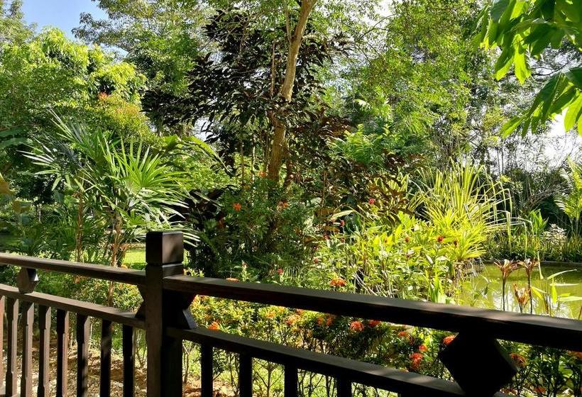 Bed and Breakfast Villa Albizia 3