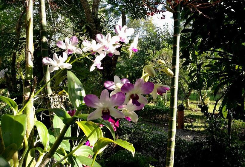 Bed and Breakfast Villa Albizia 4