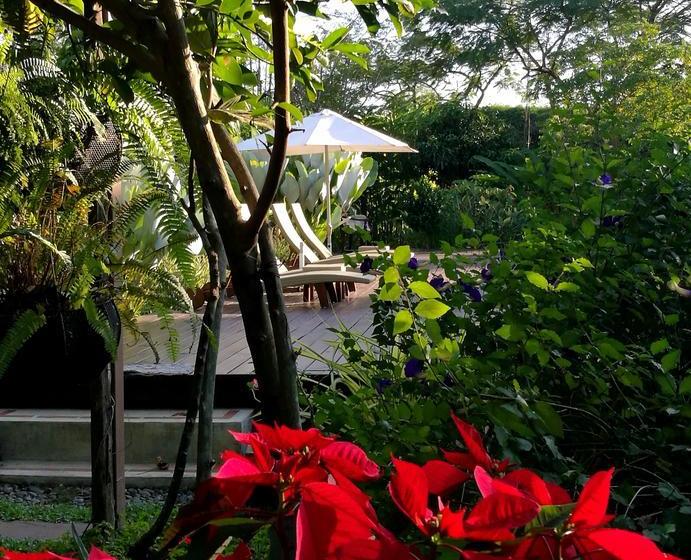 Bed and Breakfast Villa Albizia 5