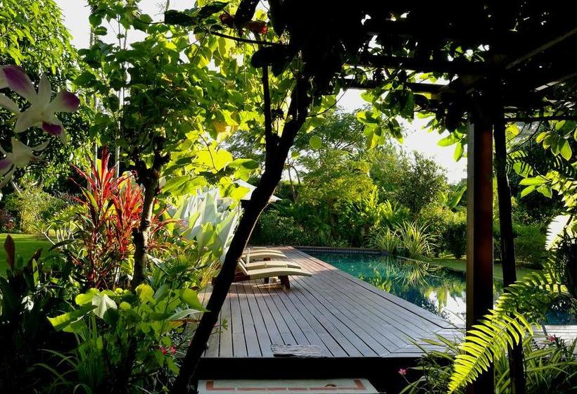 Bed and Breakfast Villa Albizia 6