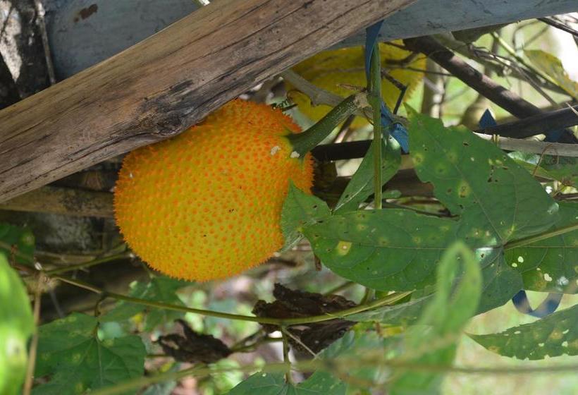 Be Fine Sabuy Hotel And Resort 8