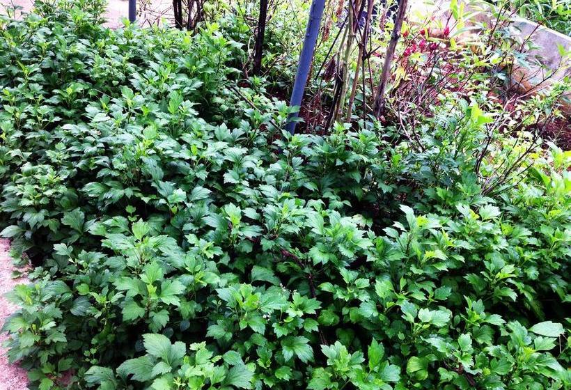 Be Fine Sabuy Hotel And Resort 9