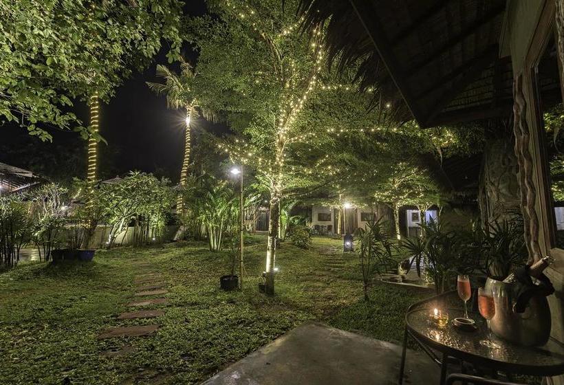 Dream Field Resort 15