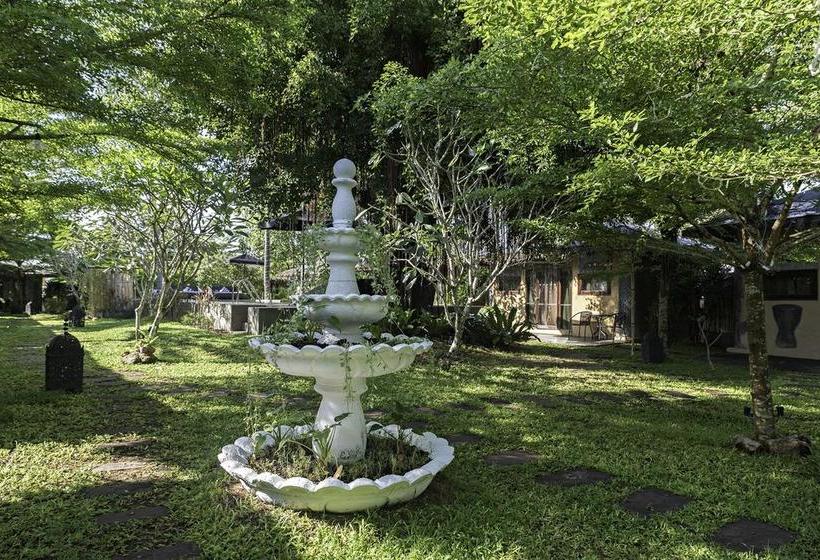 Dream Field Resort 5