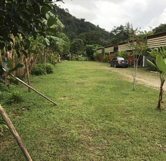 Bed and Breakfast Banana Lodge 1