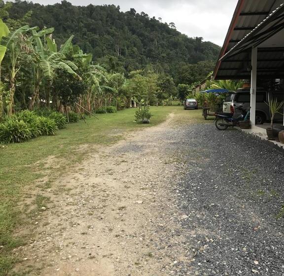 Bed and Breakfast Banana Lodge 2