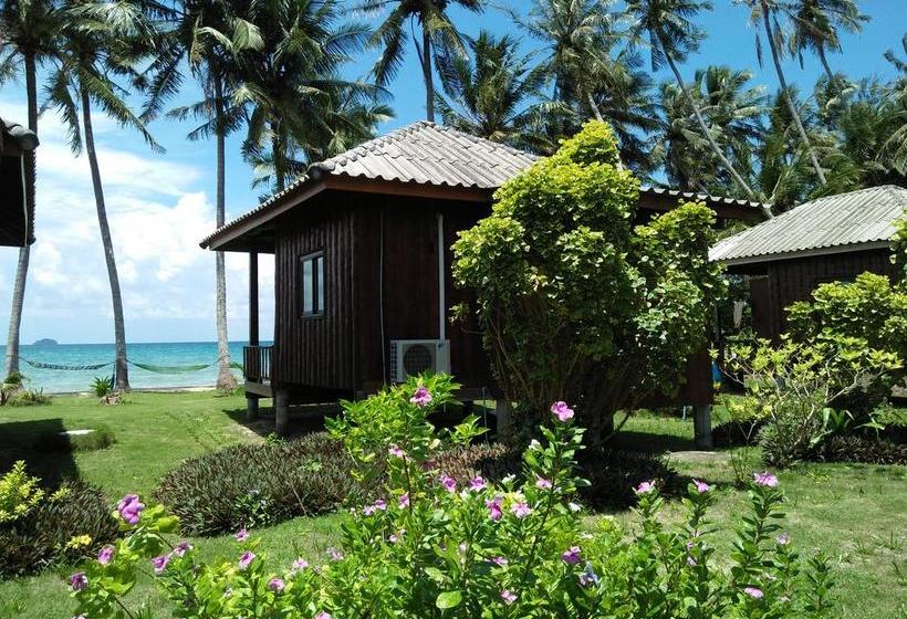 Happy Days Resort 14