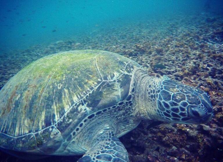 Moov Inn Garden Hostel 12