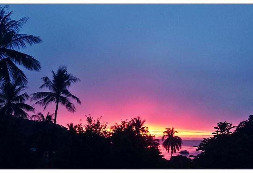 Moov Inn Garden Hostel 14