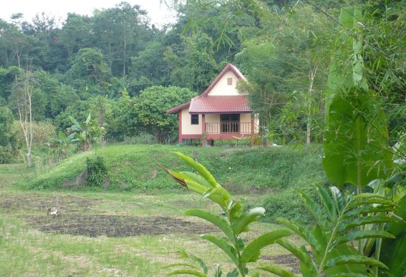 Resort Suancha Tea Garden