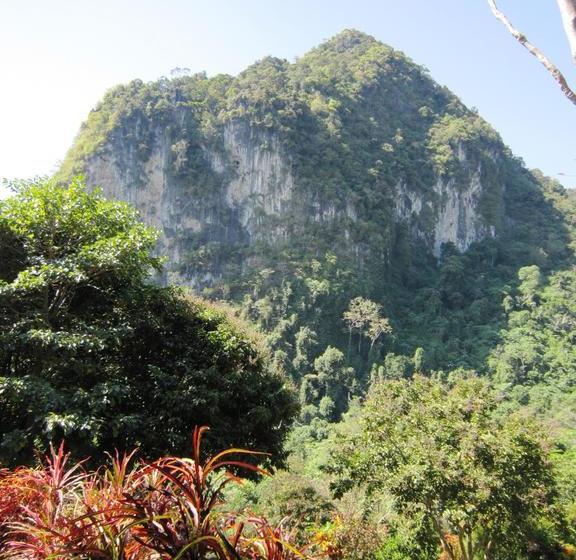 Phanom Bencha Mountain Resort 10