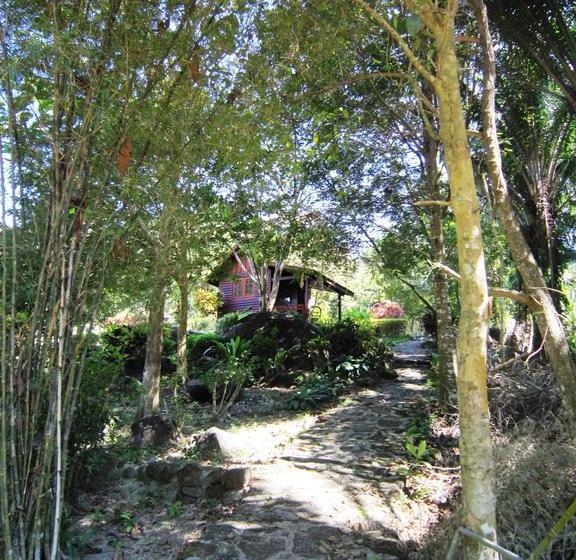 Phanom Bencha Mountain Resort 15