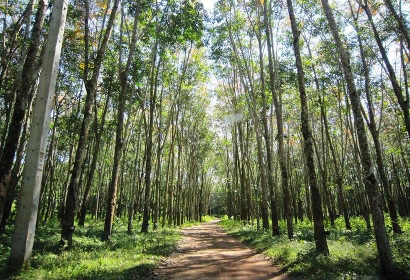 Phanom Bencha Mountain Resort 16