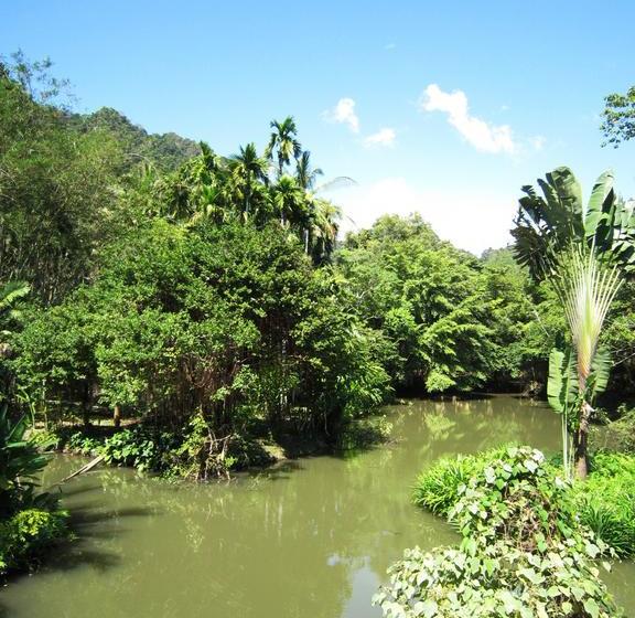 Phanom Bencha Mountain Resort 19