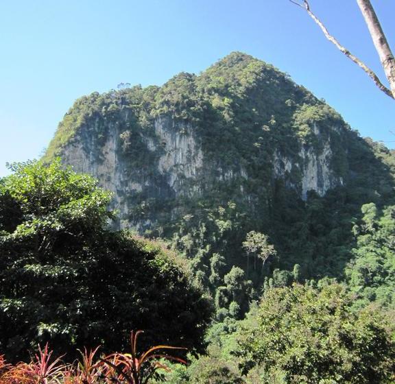 Phanom Bencha Mountain Resort 9