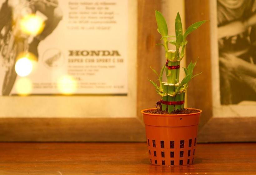 Luang Poj Boutique Hostel 6