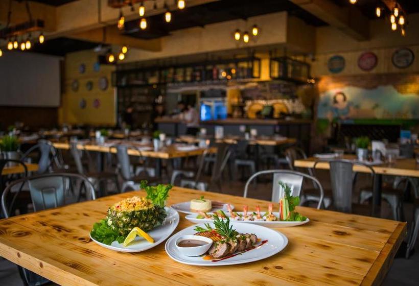 Hotel New Travel Lodge 12