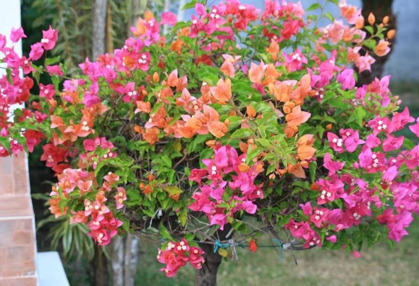 Resort Samui Le Reve 19