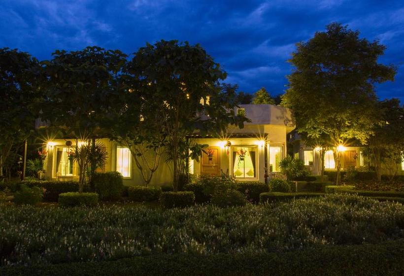 Villa Reina Resort 8